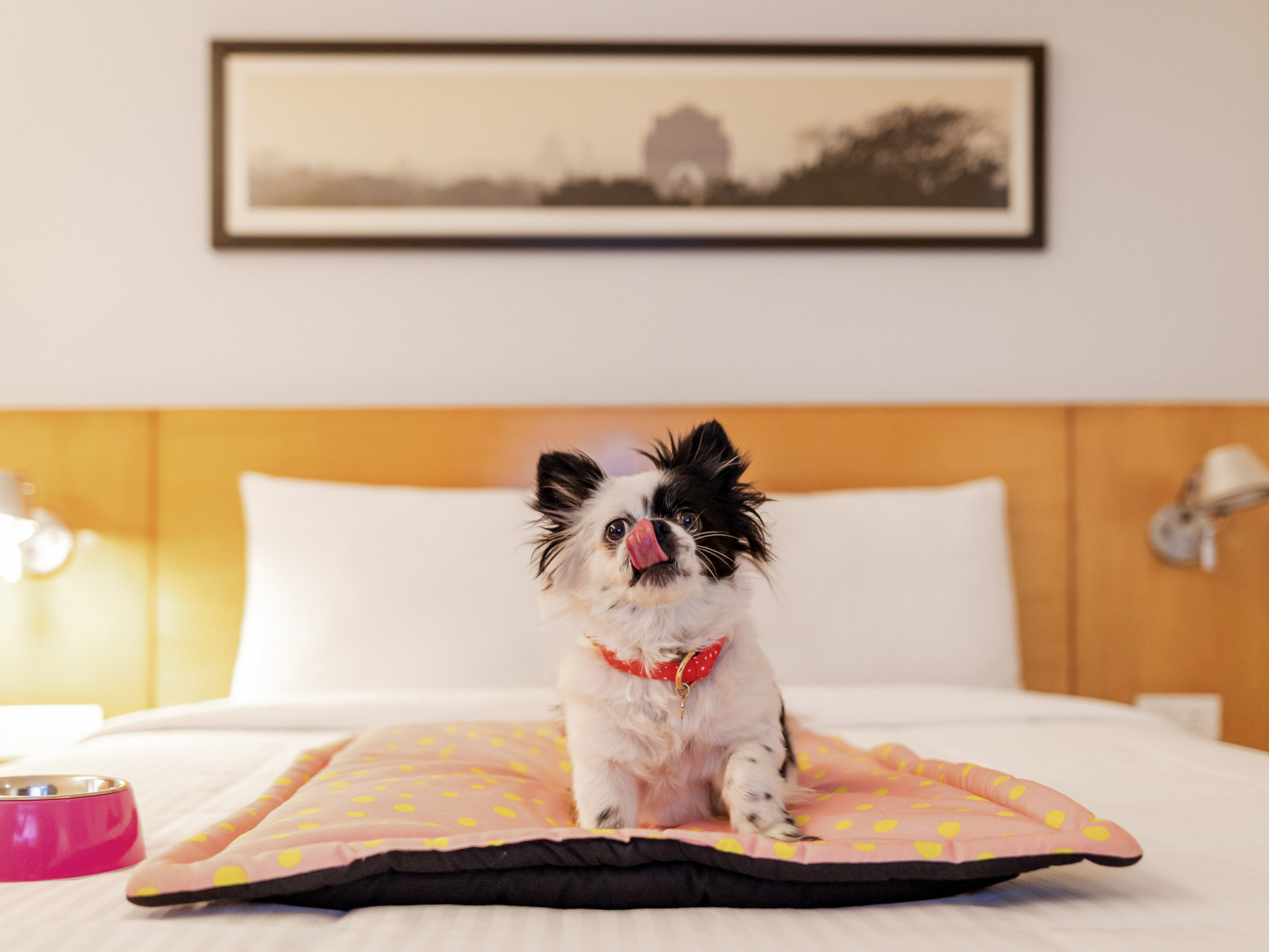 Foto - Ibis Chennai OMR - An Accor Brand