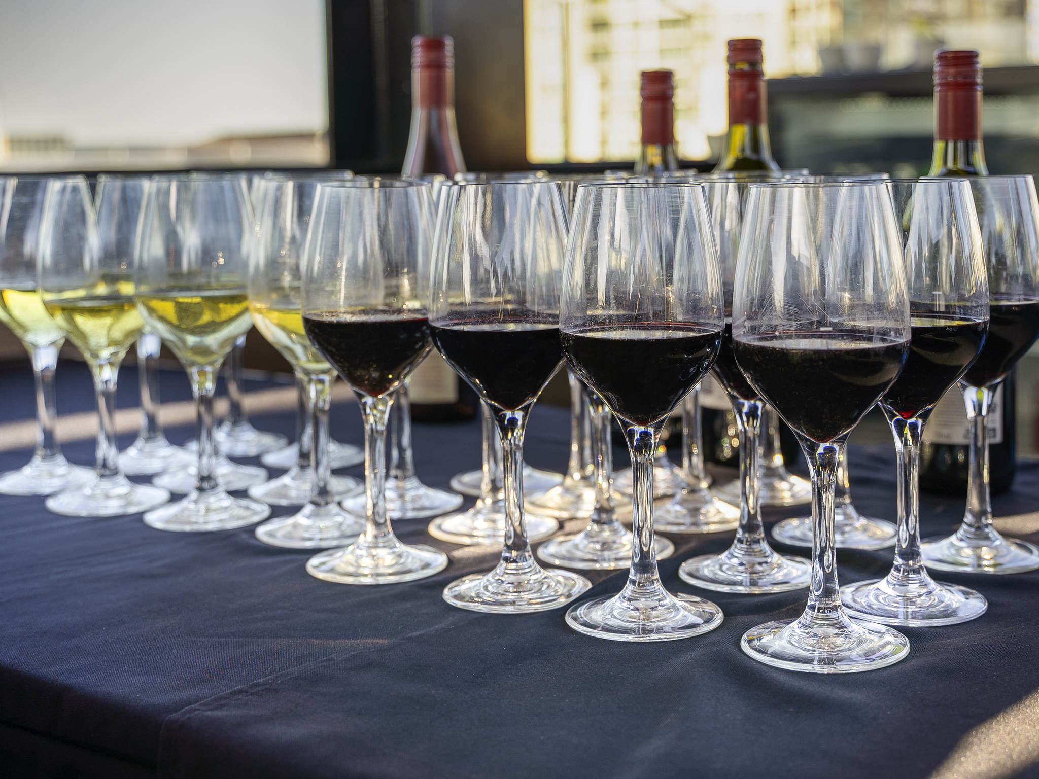 Foto - Adelaide Rockford