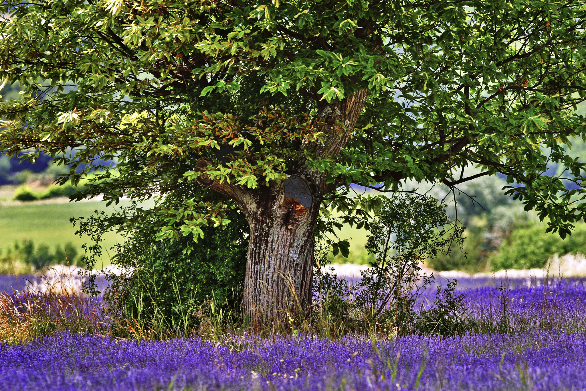 Foto - Aparthotel Adagio Aix-en-Provence Centre
