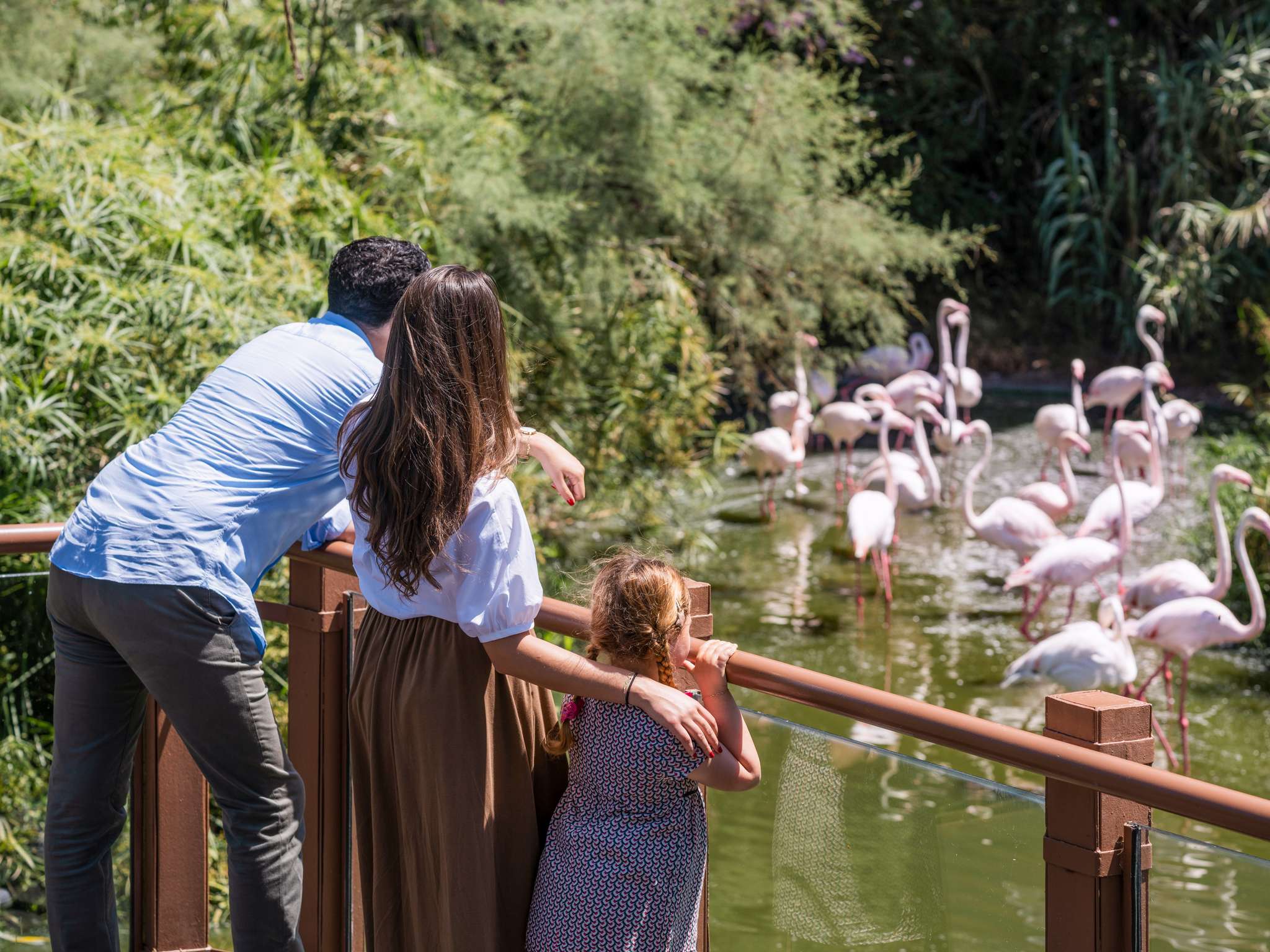 Foto - Sofitel Rabat Jardin Des Roses