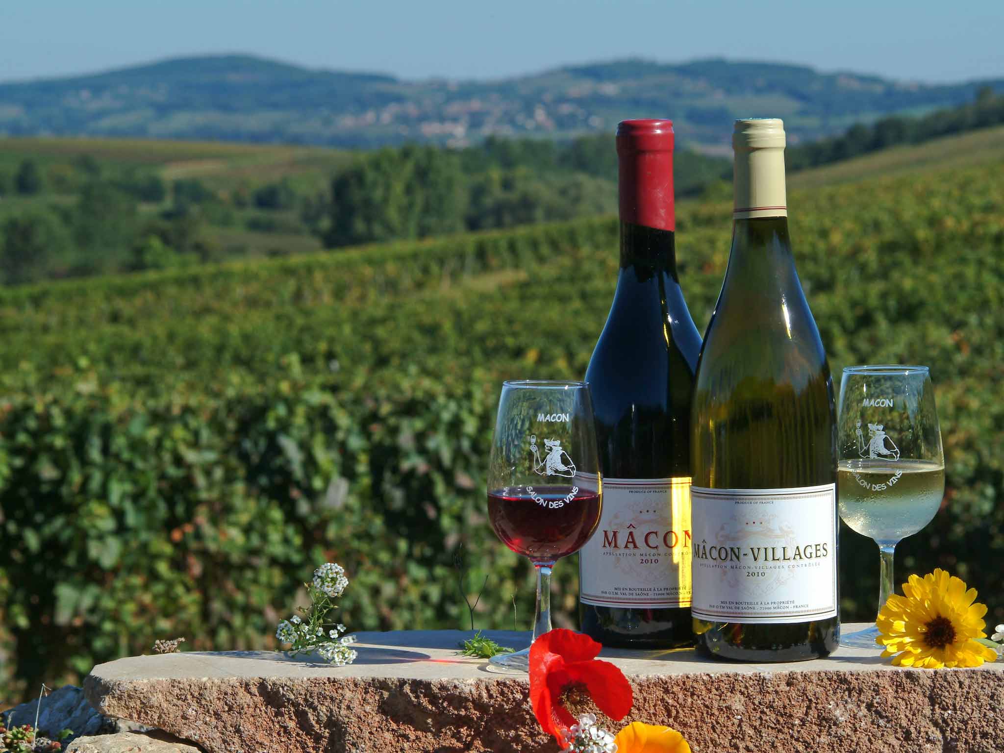 Photo - ibis Styles Macon Centre