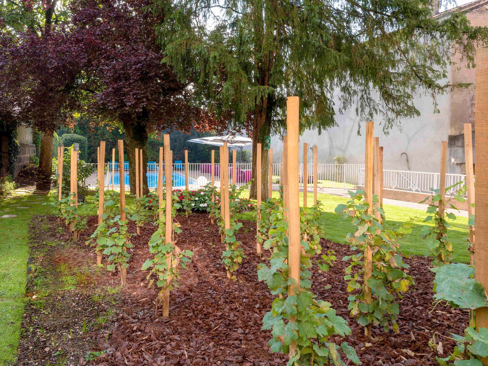 Photo - ibis Styles Macon Centre