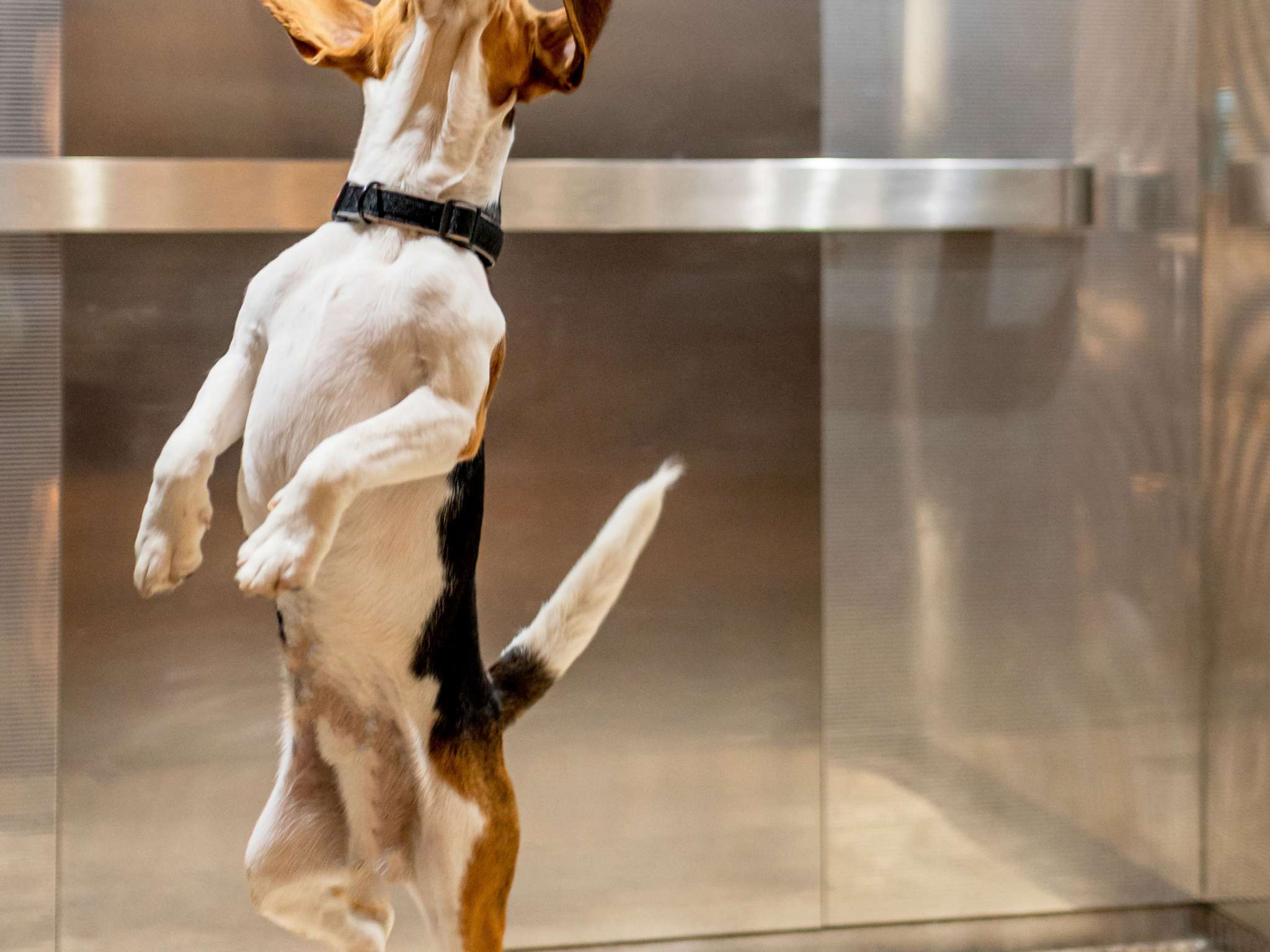 Photo - ibis Bayeux Port En Bessin