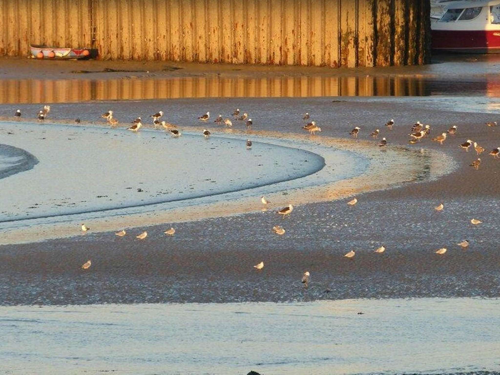 Photo - ibis Bayeux Port En Bessin