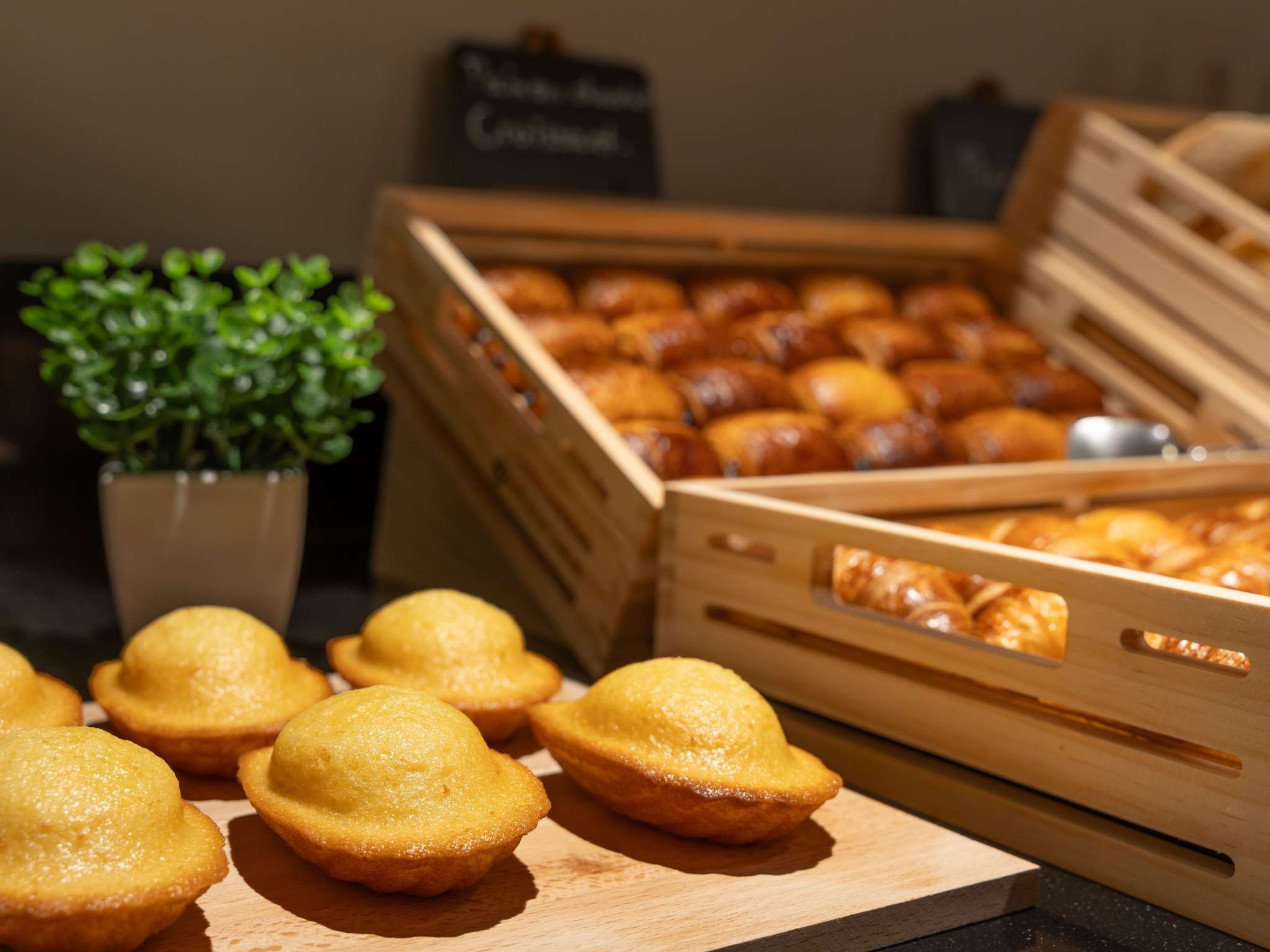 Photo - Ibis Orleans La Chapelle Saint Mesmin