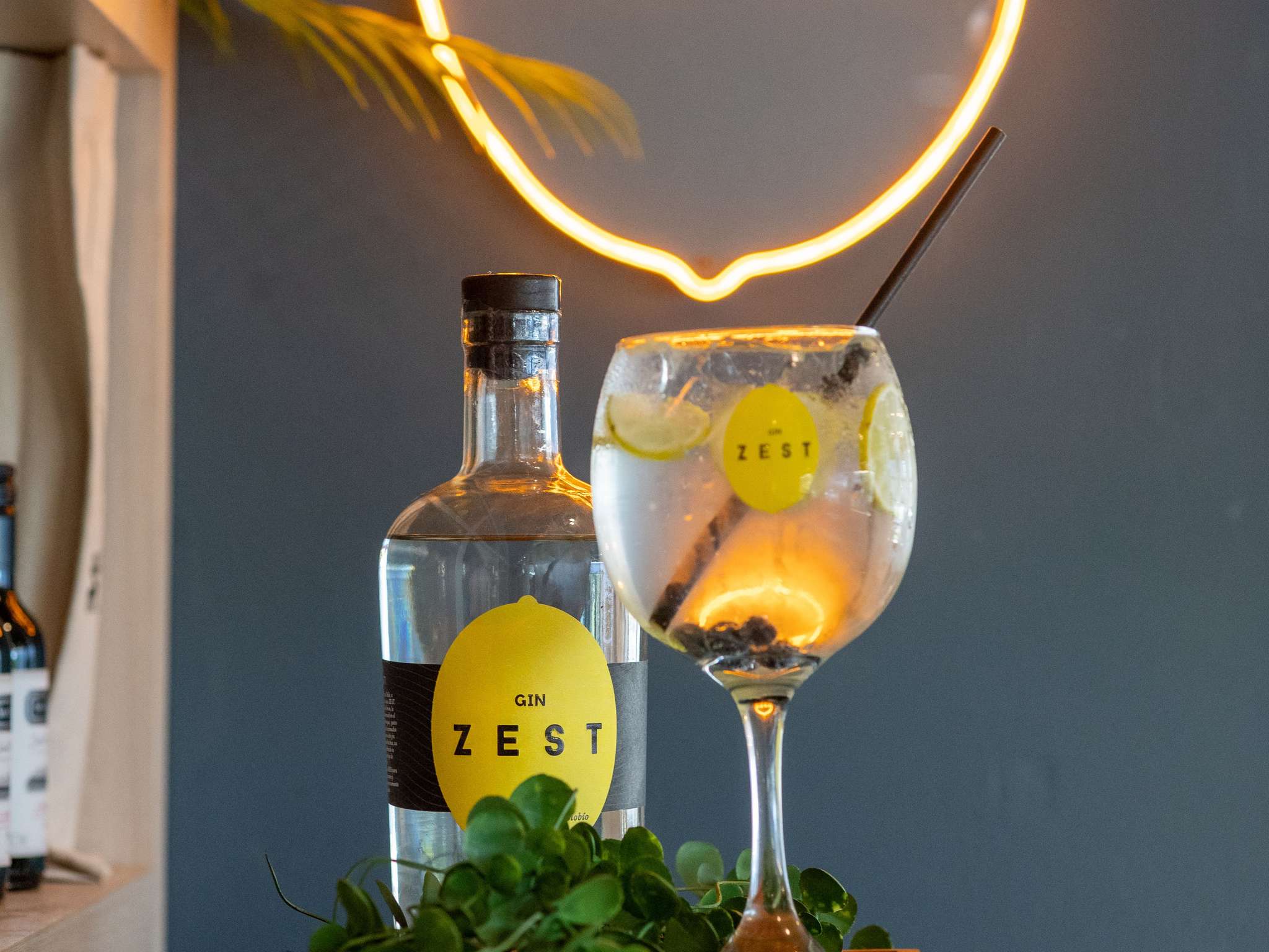 Foto - ibis Concepcion