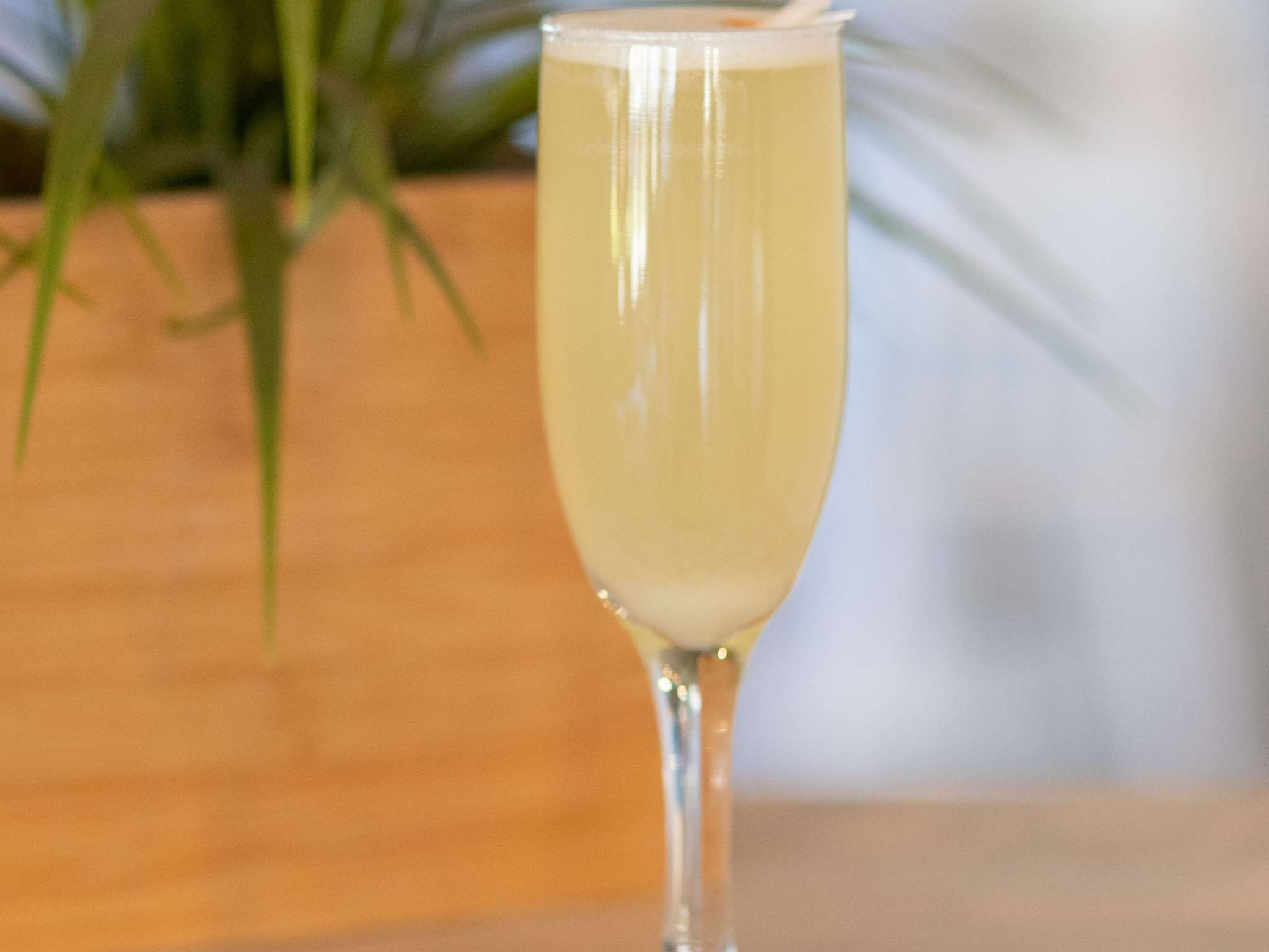 Foto - ibis Concepcion