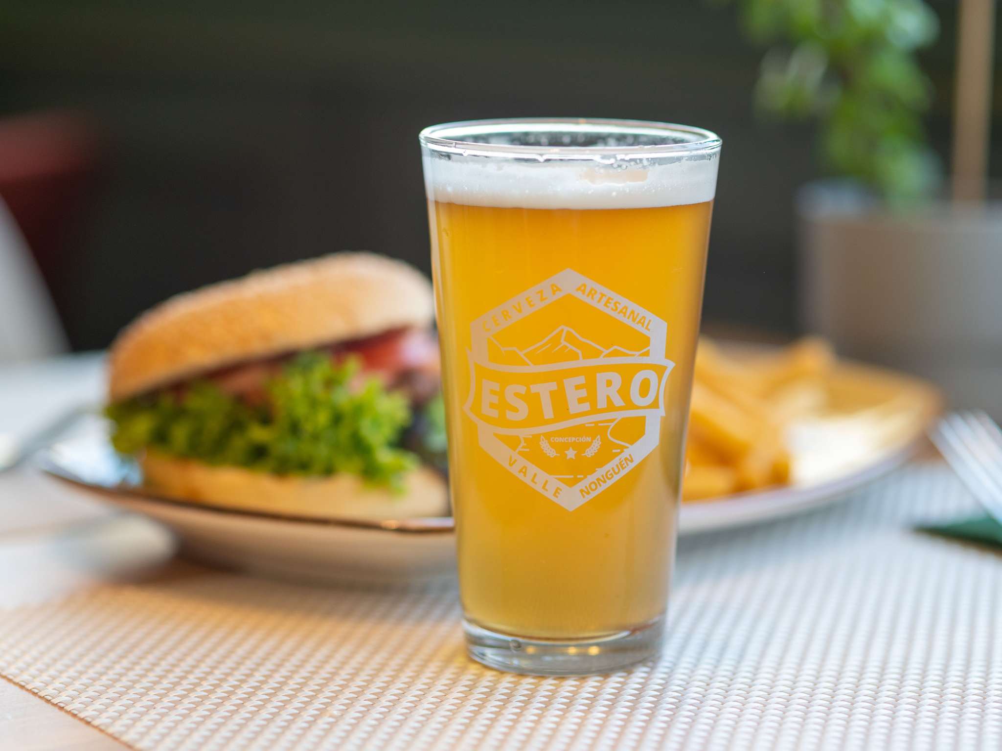 Foto - ibis Concepcion