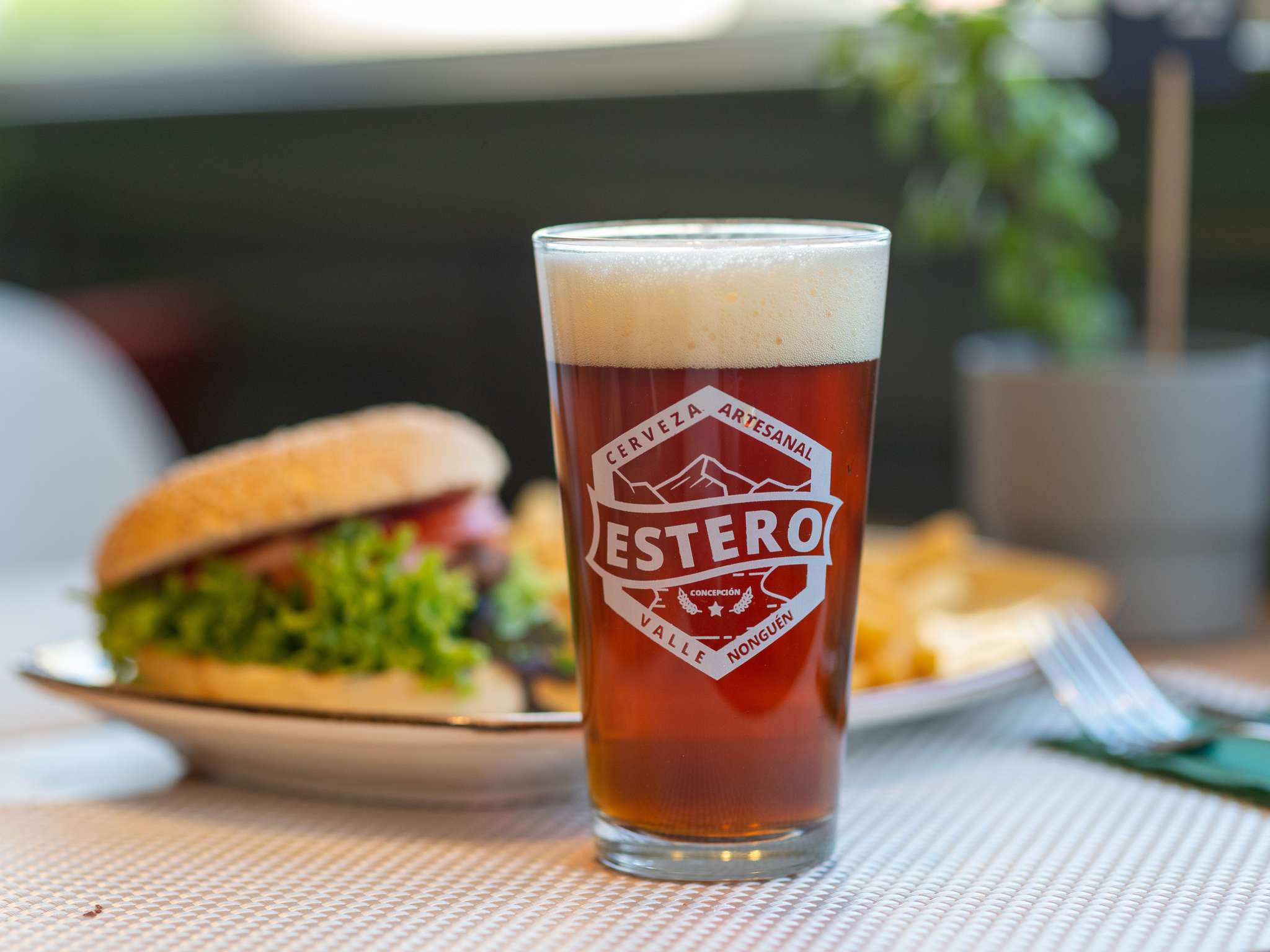 Foto - ibis Concepcion