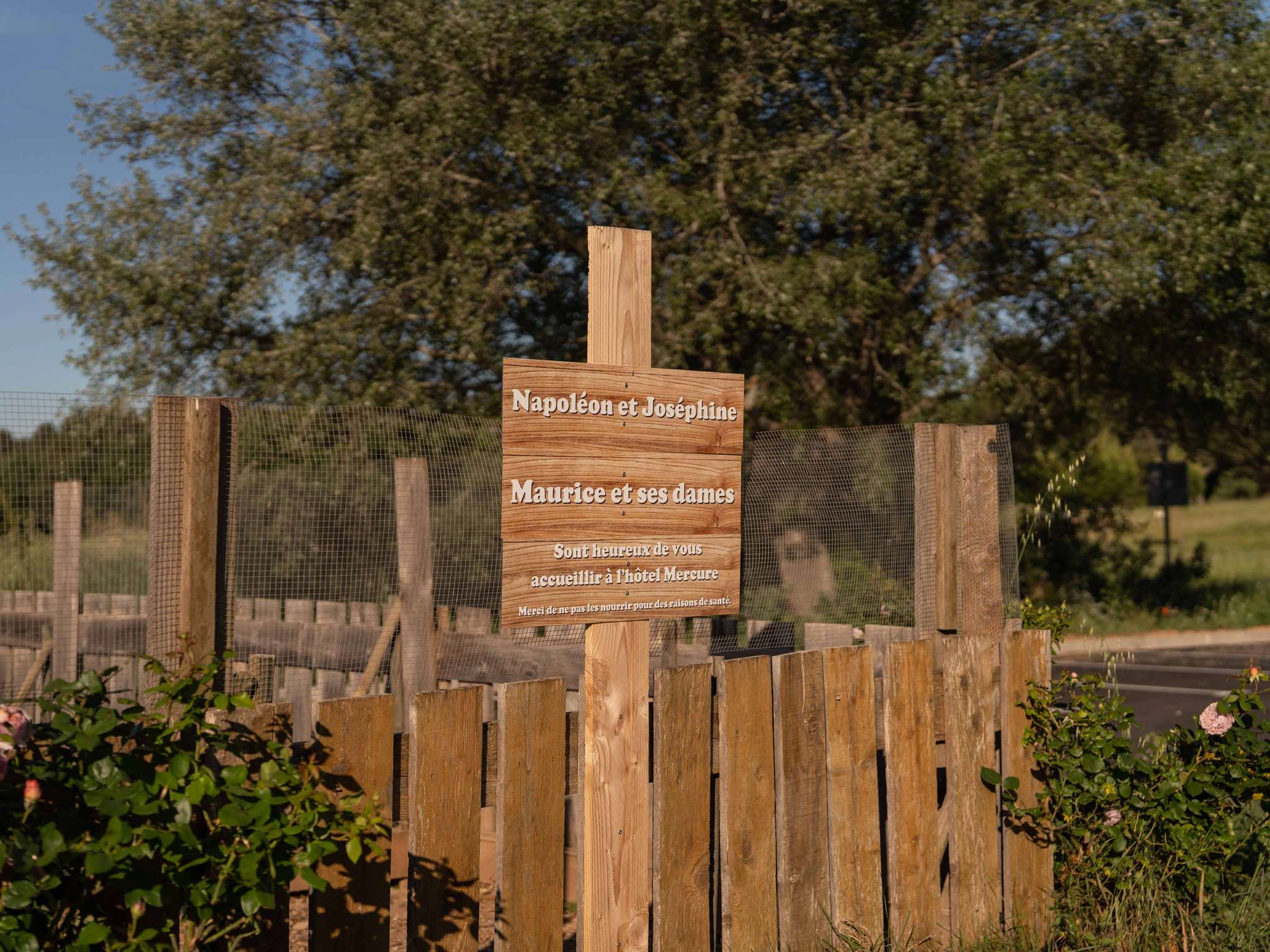 Photo - Mercure Aix-En-Provence Sainte-Victoire