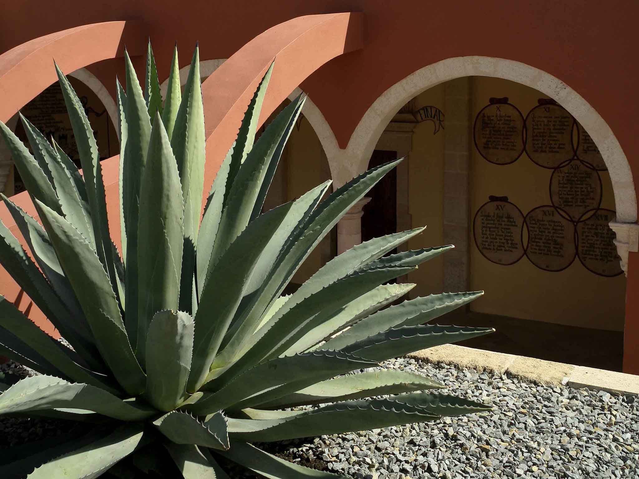 Foto - ibis budget Aguascalientes Norte