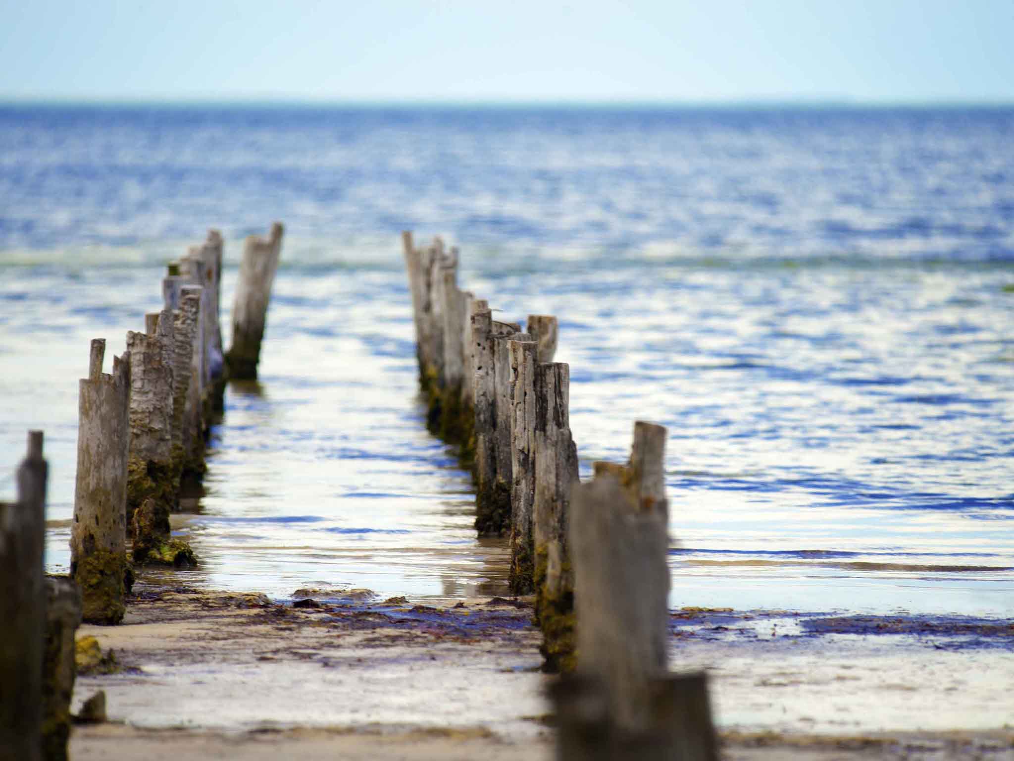 Photo - Ibis Cancun Centro