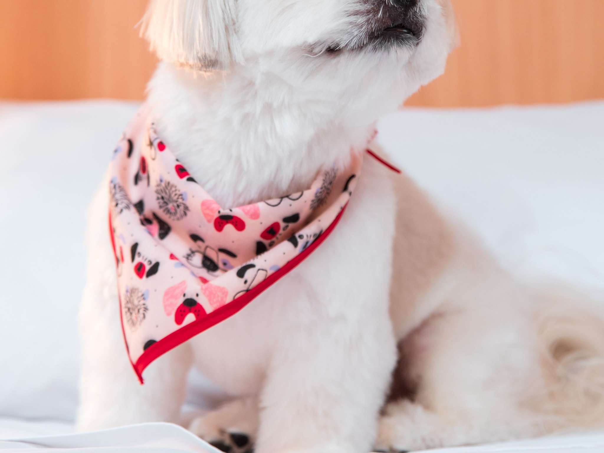 Photo - ibis Presidente Prudente Manoel Goulart