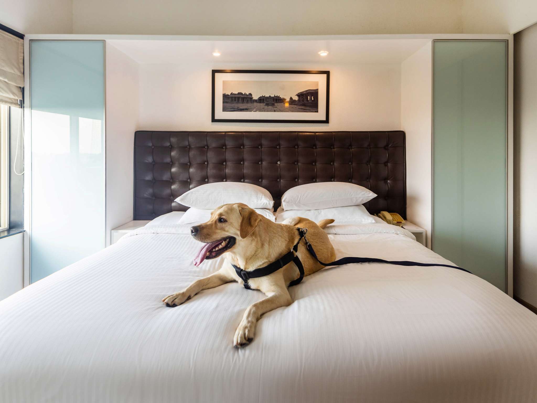 Foto - Grand Mercure Bangalore - An Accor Brand