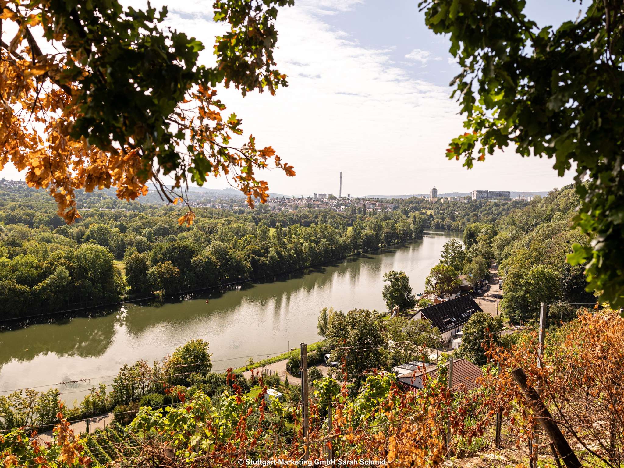 Photo - ibis Stuttgart Airport Messe