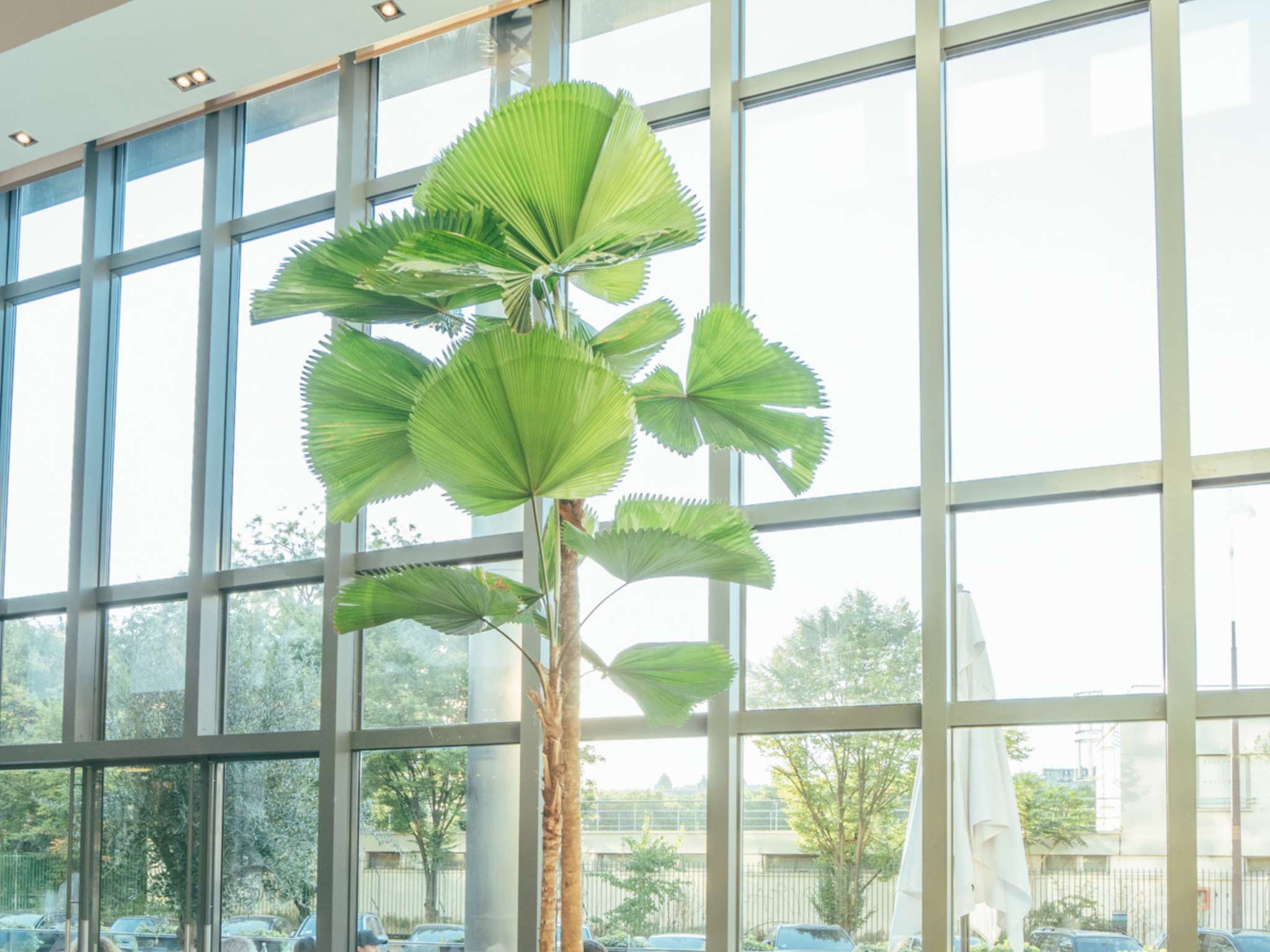 Foto - Pullman Paris Tour Eiffel