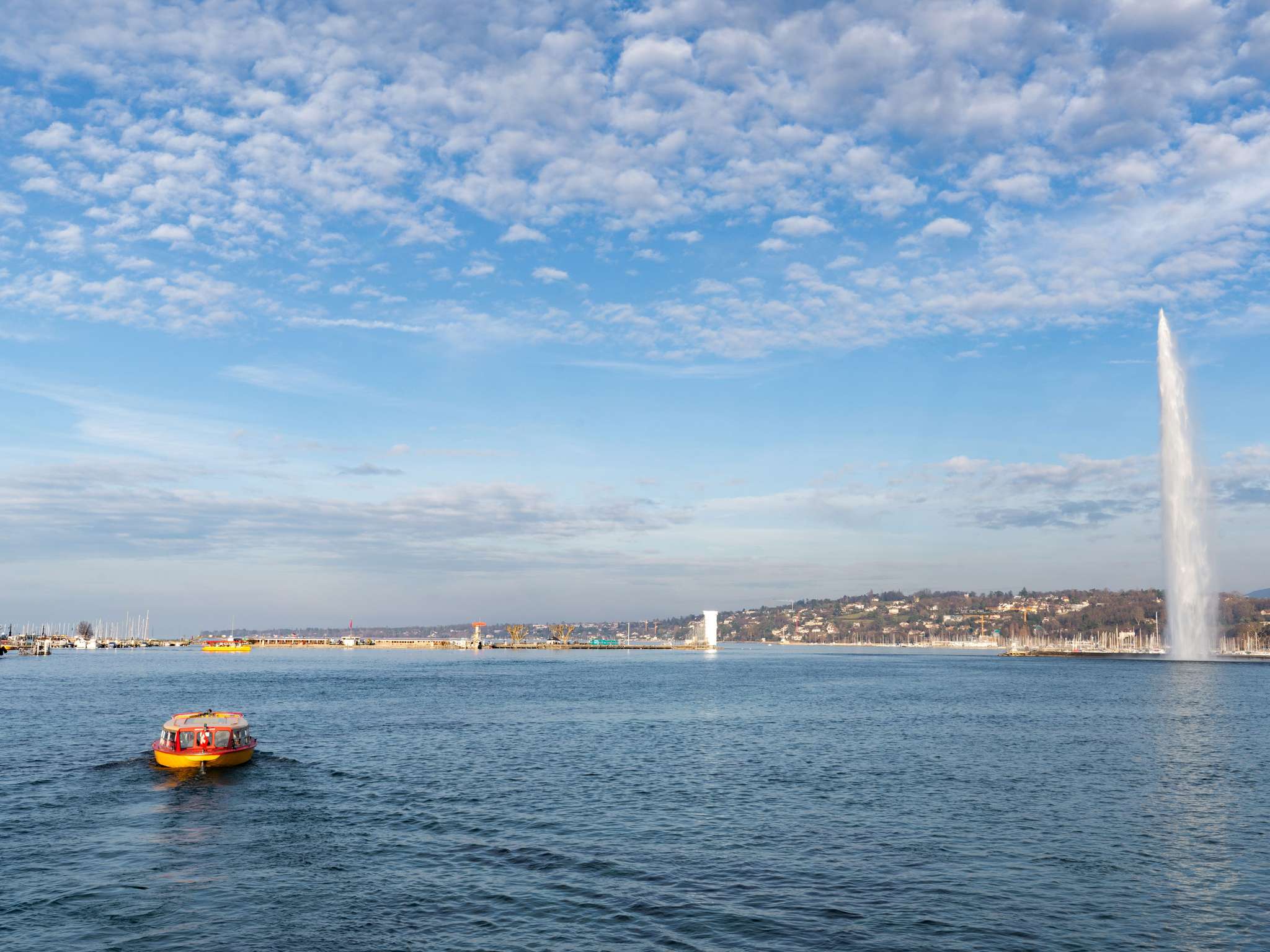Foto - ibis Genève Petit Lancy