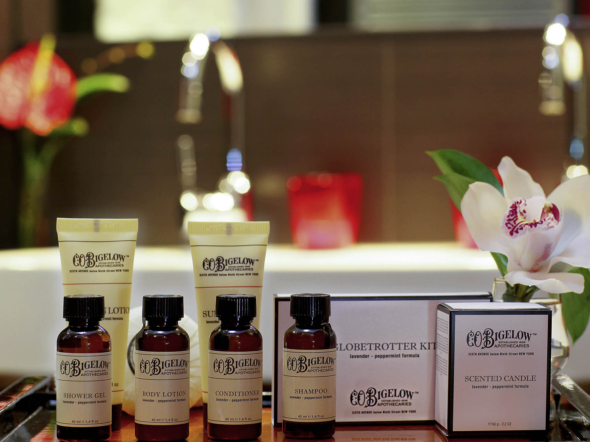 Photo - Sofitel Barcelona Skipper