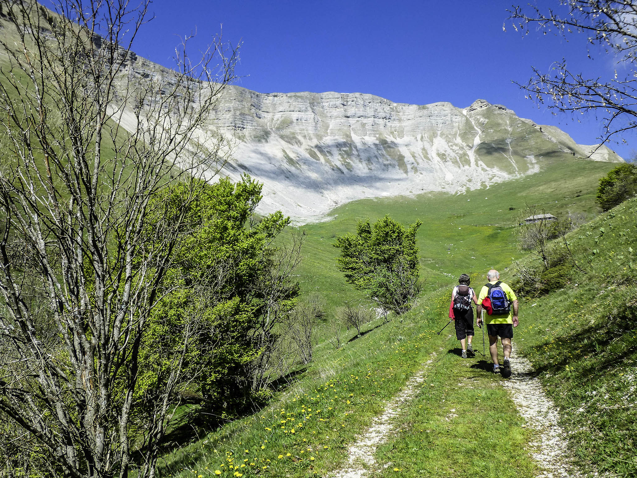 Foto - Ibis Saint-Genis-Pouilly Genève
