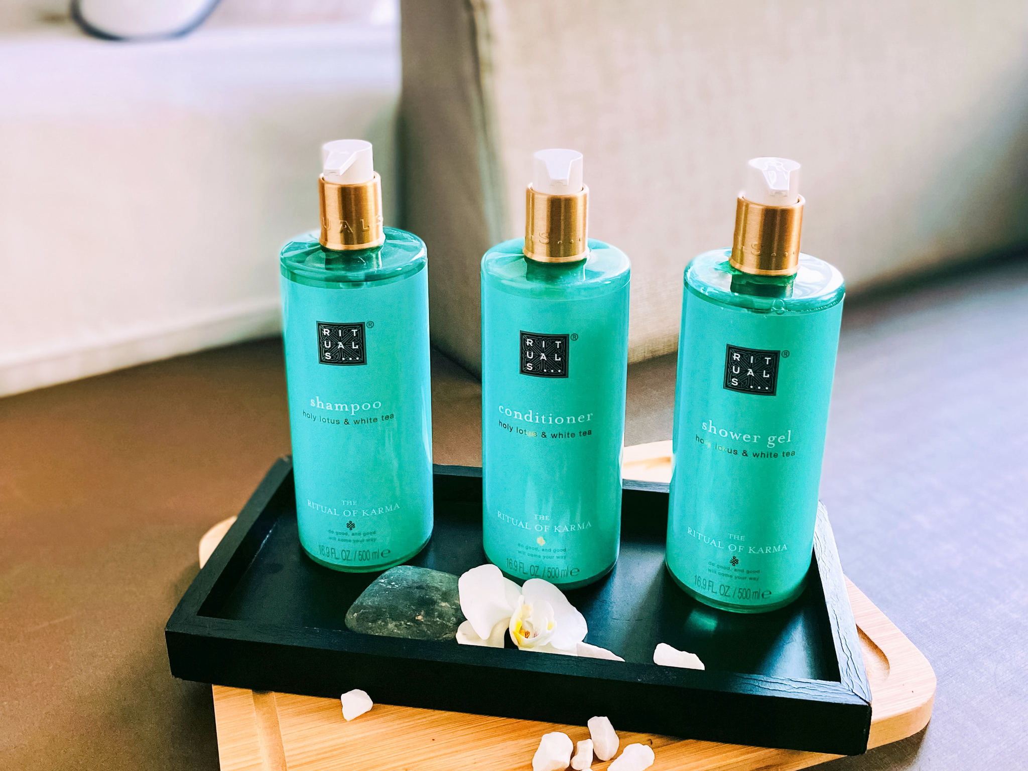 Foto - Novotel SPA Rennes Centre Gare