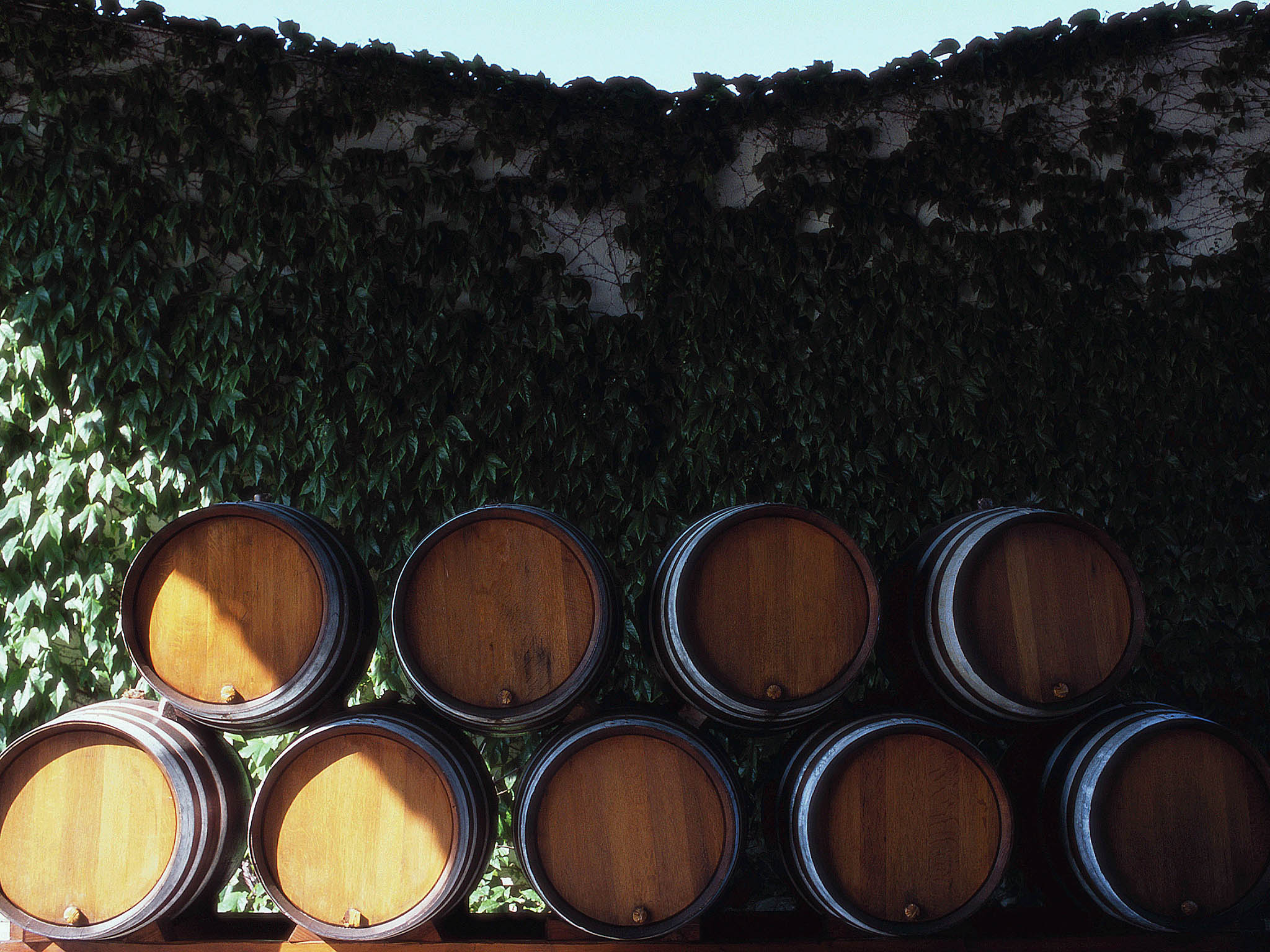 Photo - Novotel Bordeaux Centre Gare Saint Jean