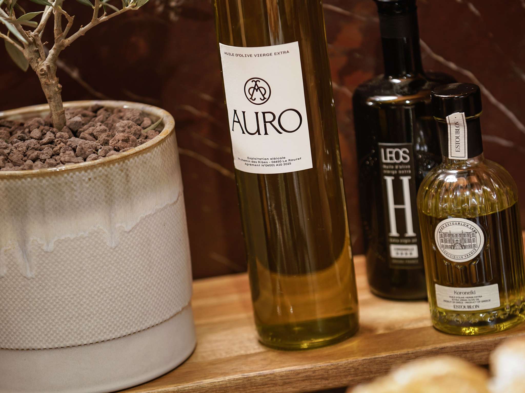 Photo - Hotel Faubourg Galant Paris - Handwritten Collection