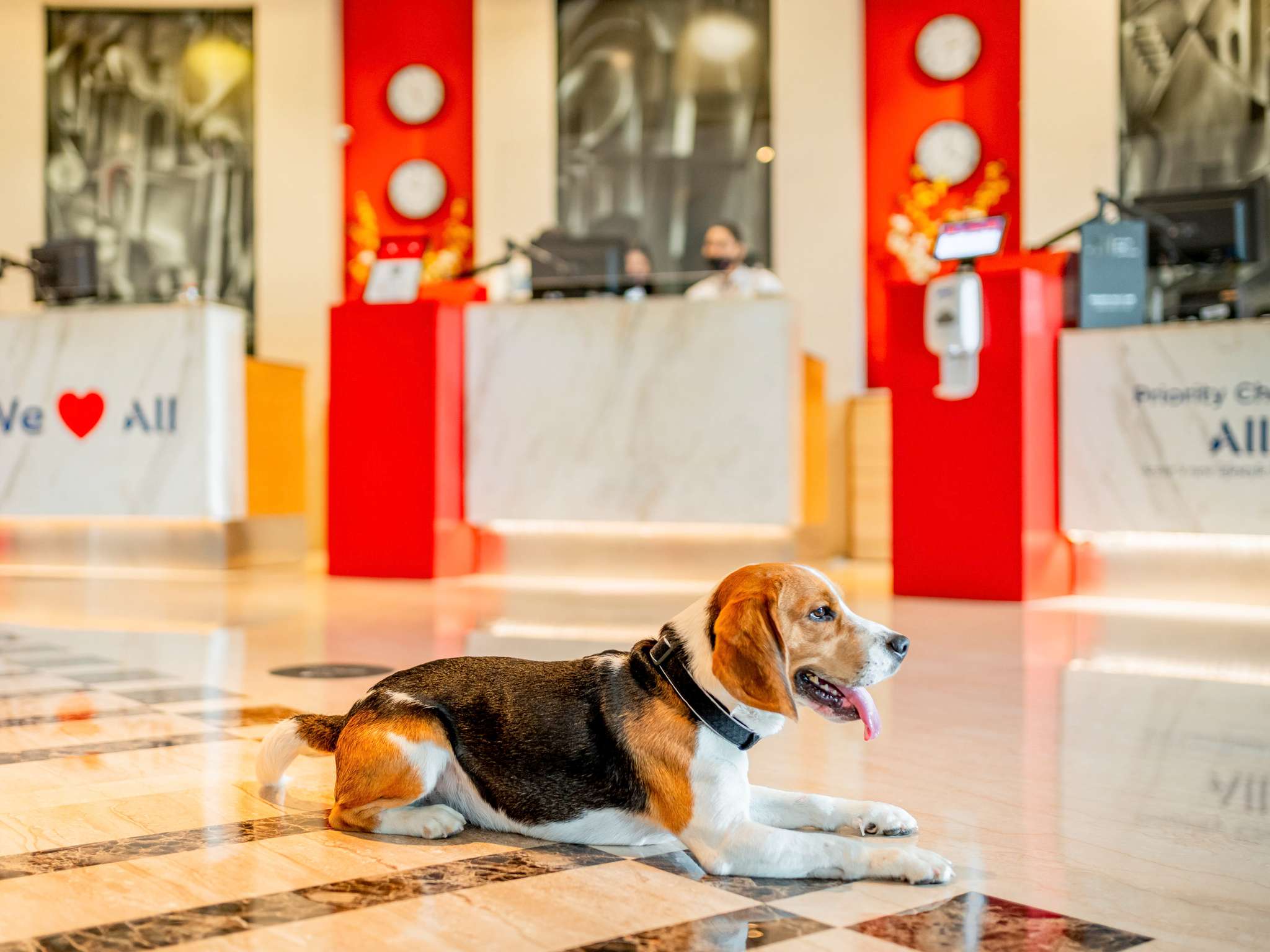 Photo - ibis New Delhi Aerocity - An Accor Brand