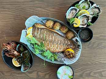 Photo - Novotel Auckland Airport