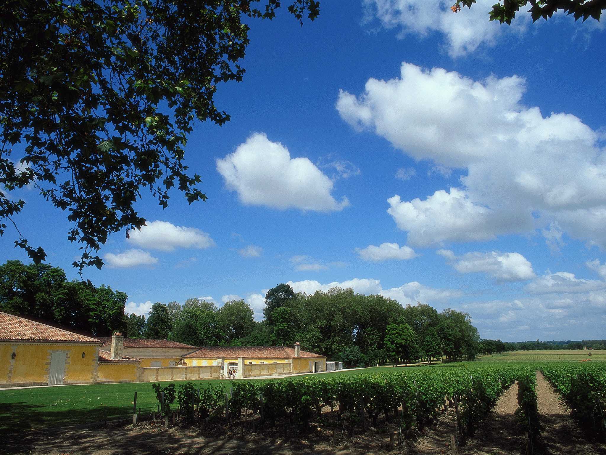 Photo - ibis budget Bordeaux Aéroport