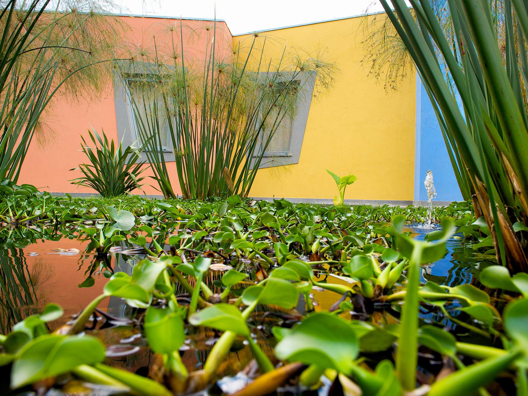 Photo - ibis Styles Catania Acireale