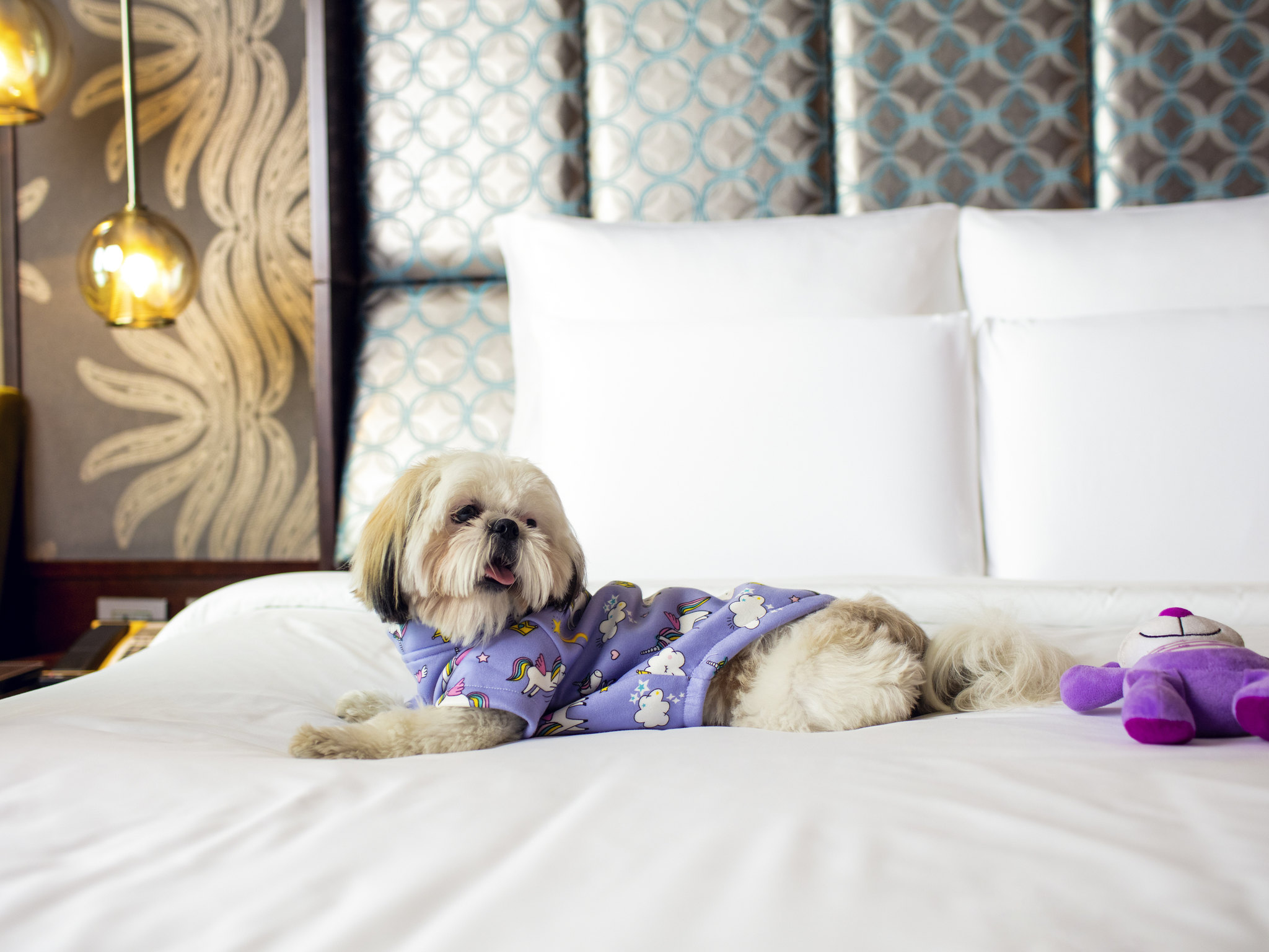 Foto - Pullman New Delhi Aerocity