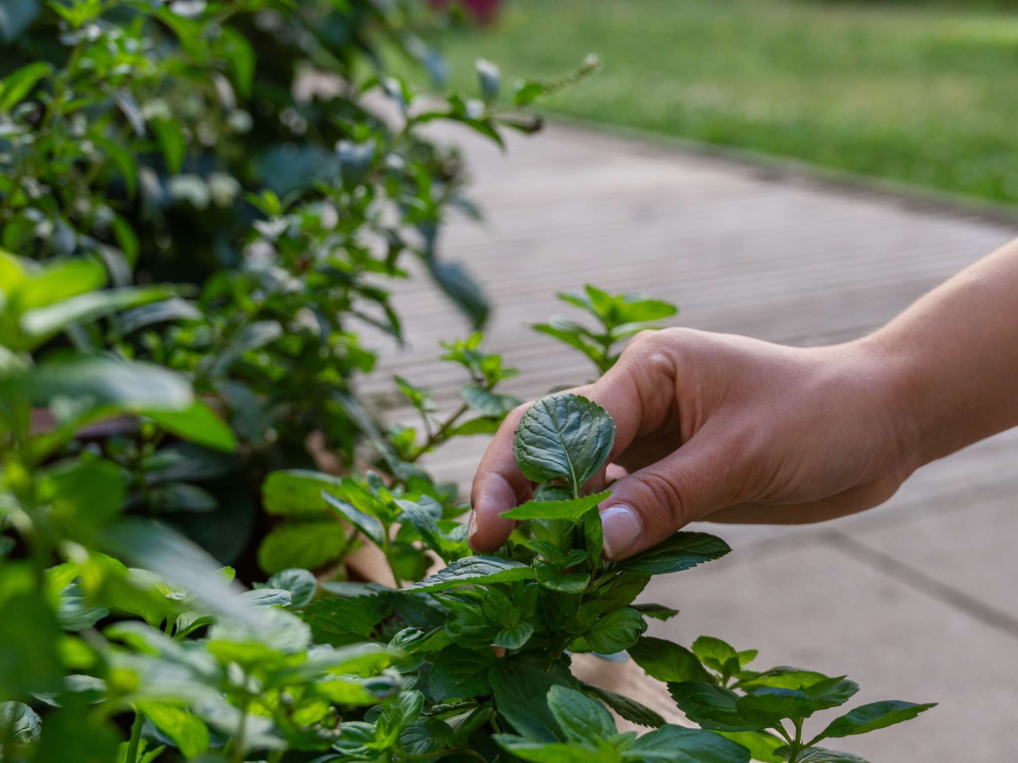 Foto - ibis Styles Paris Porte d'Orléans