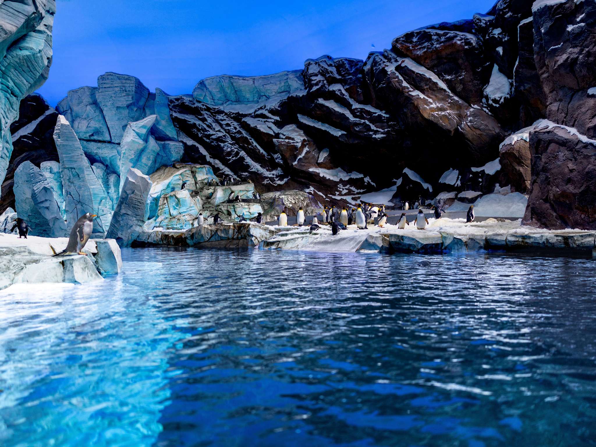 Foto - Adagio Abu Dhabi Al Bustan