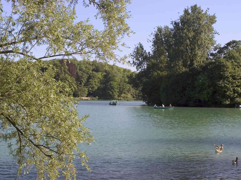Foto - ibis budget Aéroport Lyon Saint Exupéry
