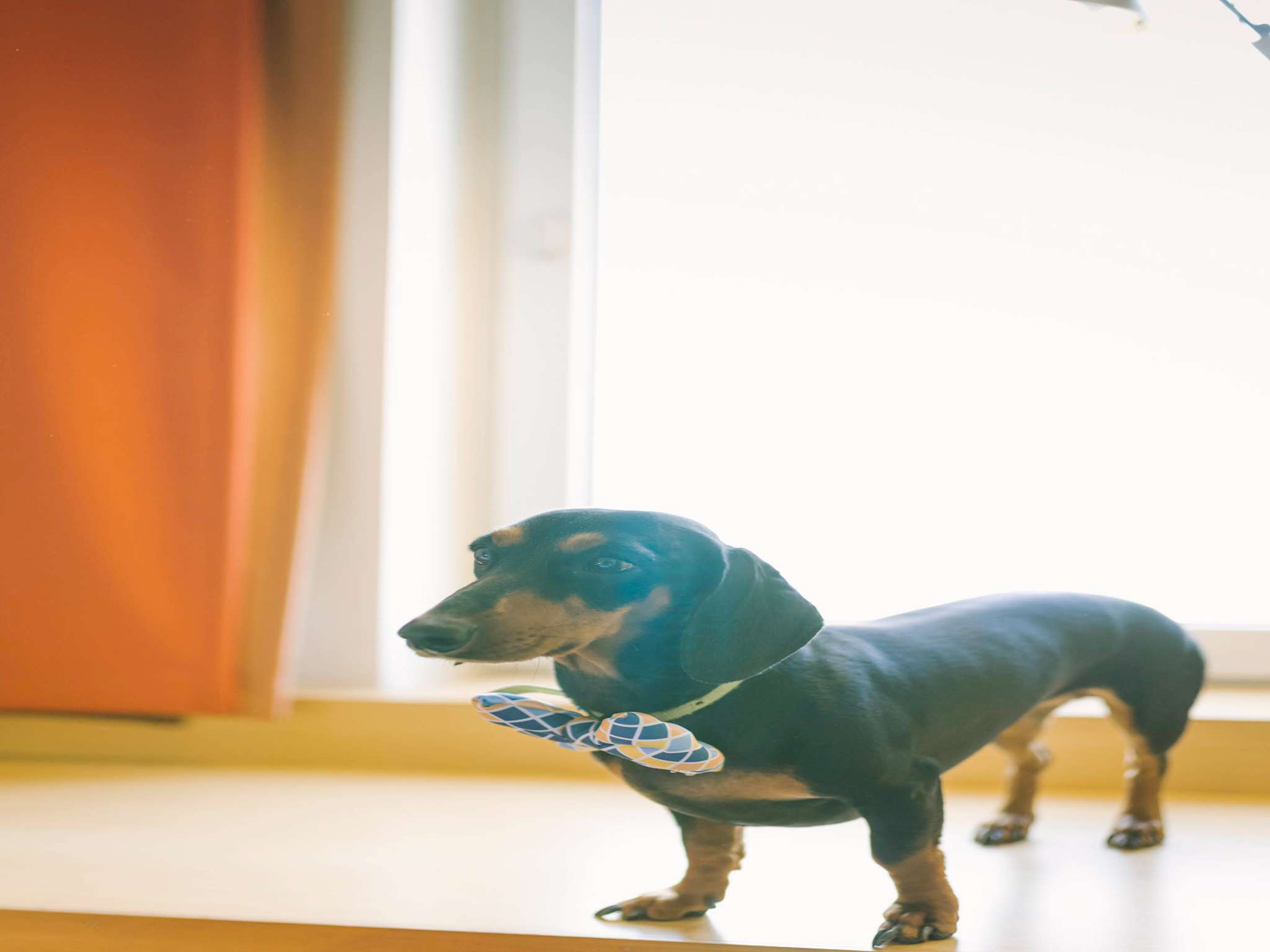 Photo - ibis Chennai City Centre - An Accor Brand