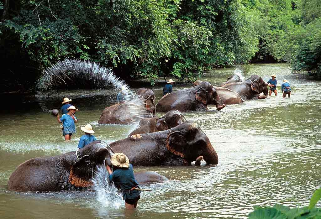 Foto - ibis Styles Chiang Mai