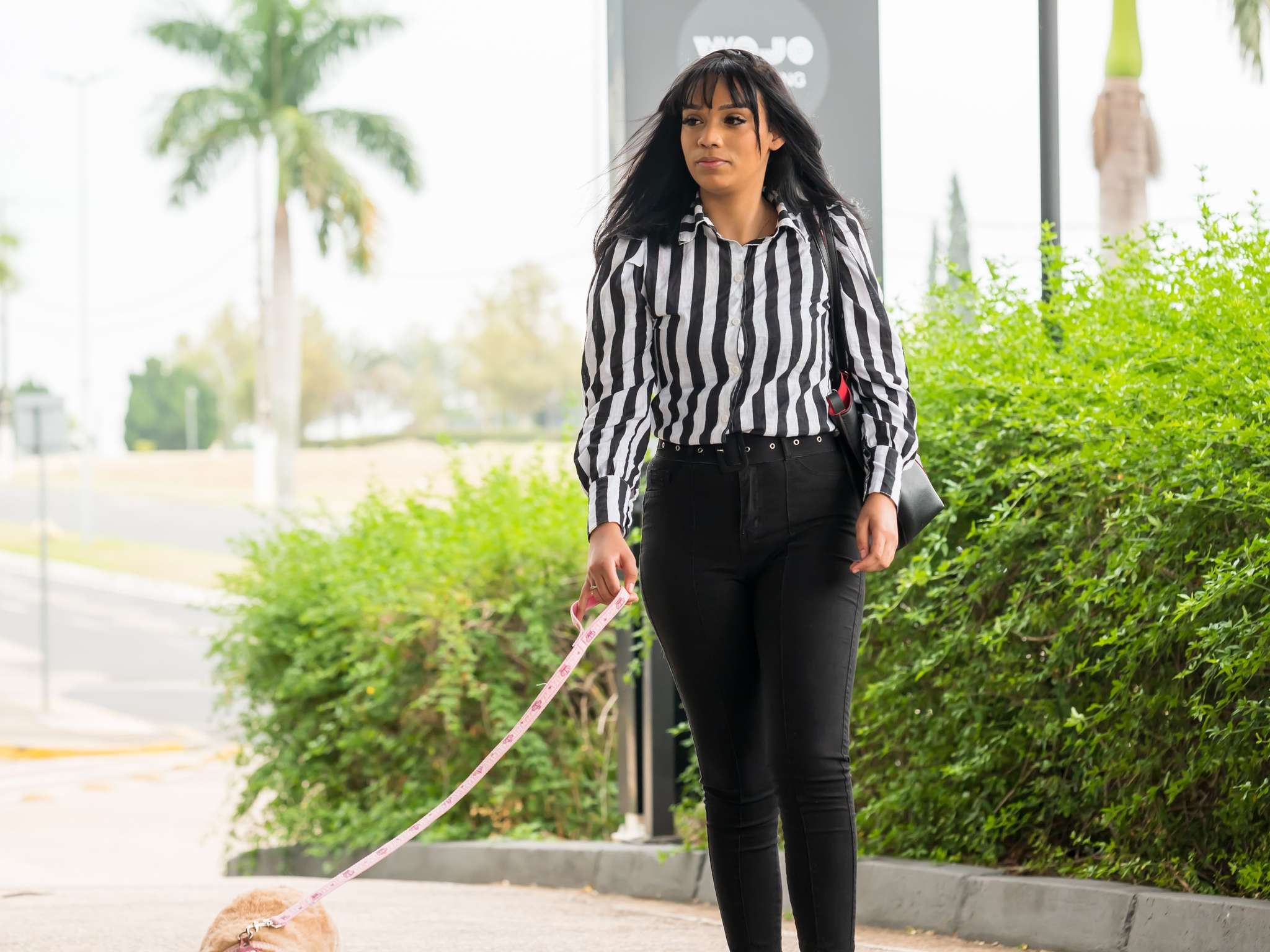 Photo - ibis Itu Plaza Shopping