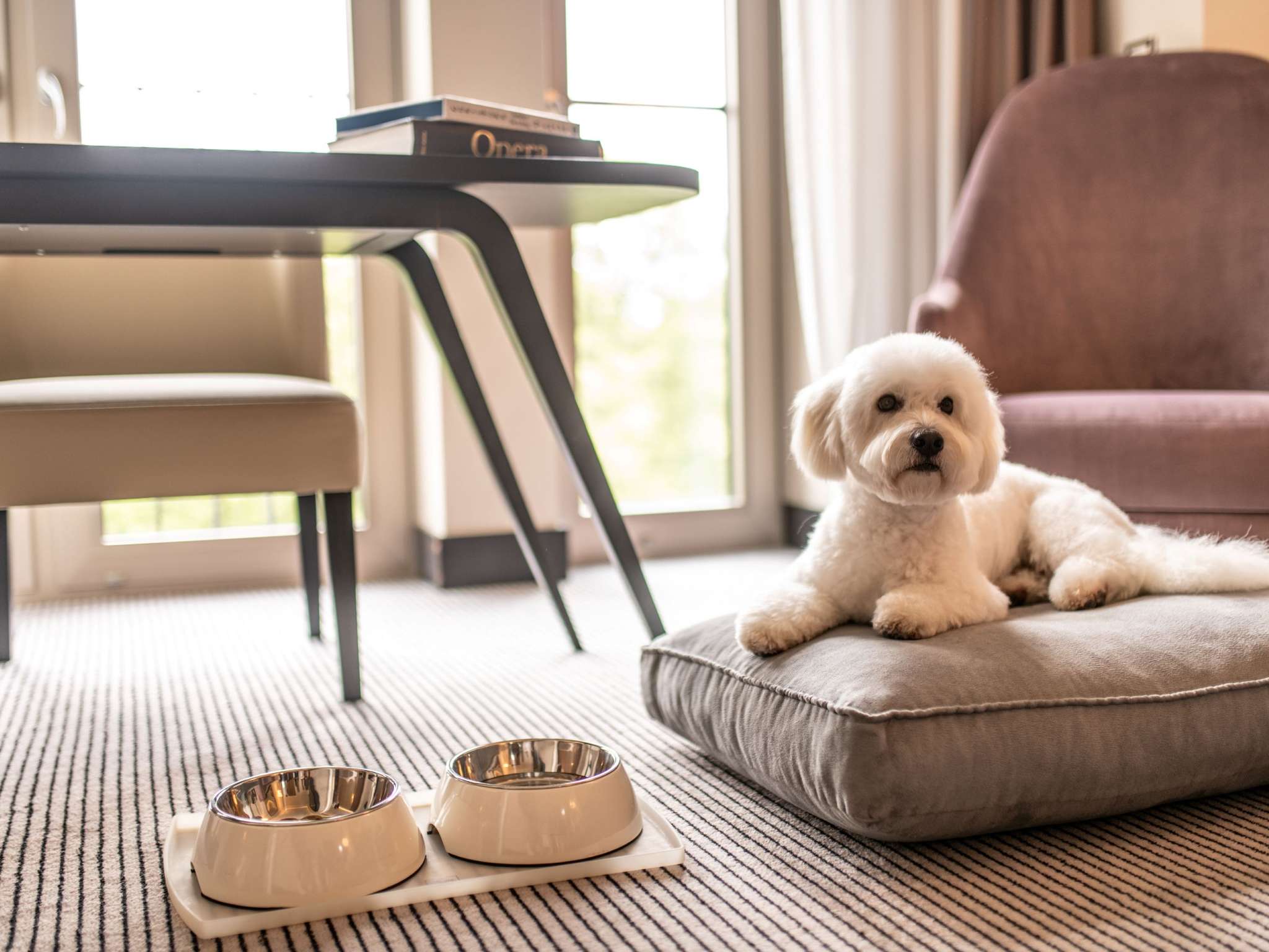 Foto - Sofitel Frankfurt Opera