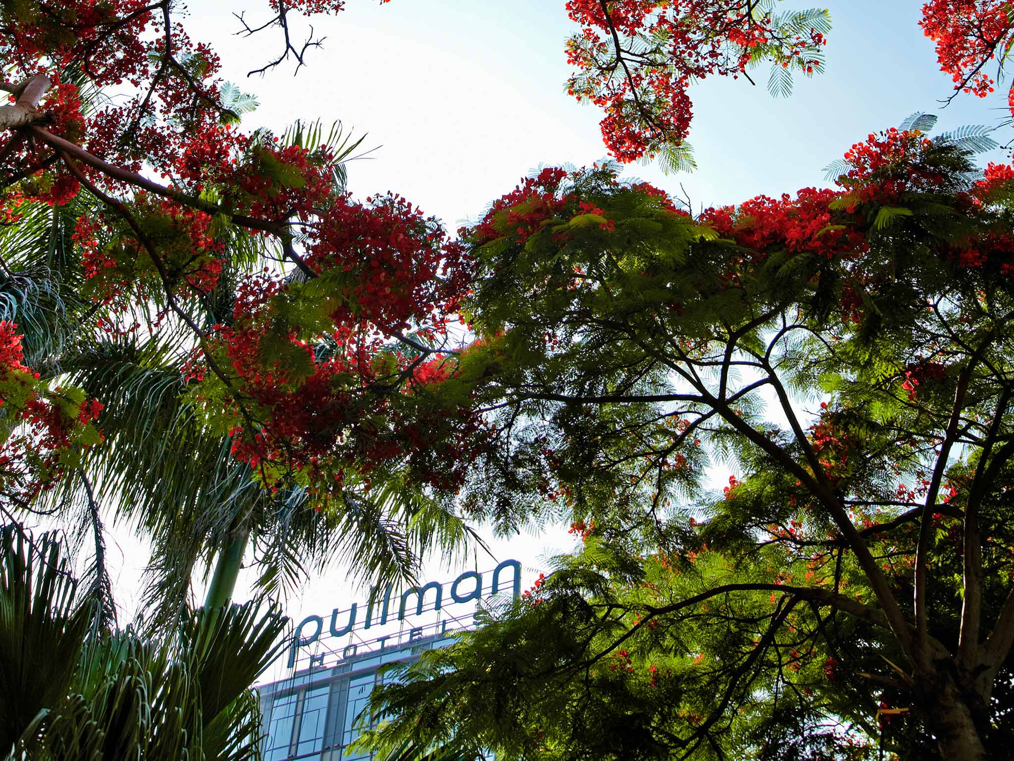 Foto - Pullman Xiamen Powerlong