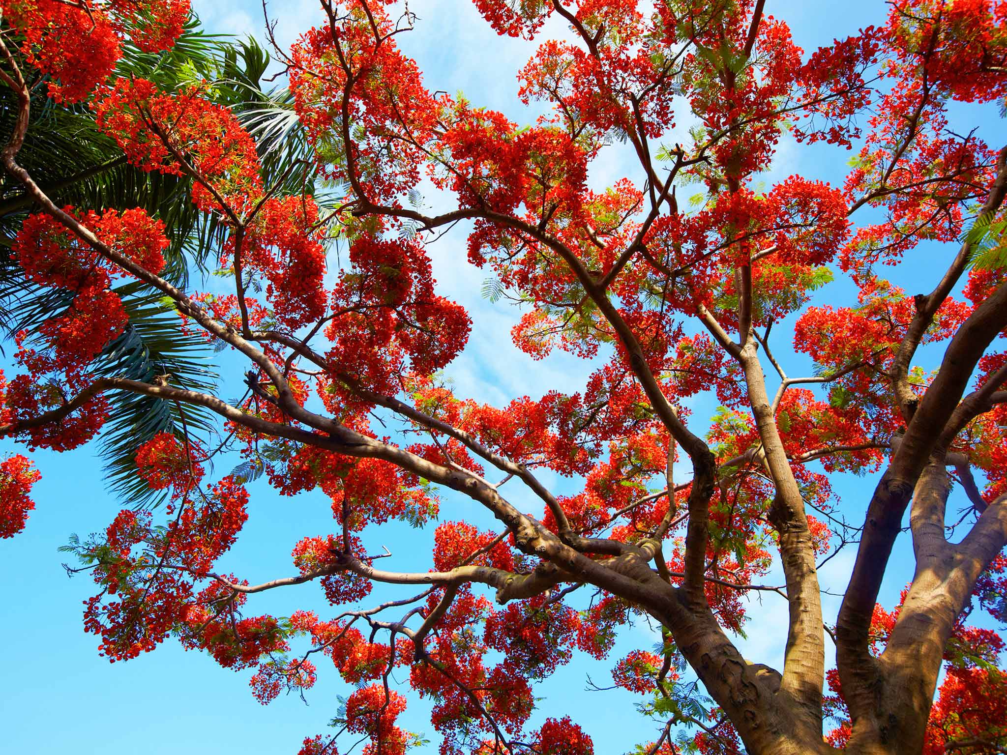 Foto - Pullman Xiamen Powerlong