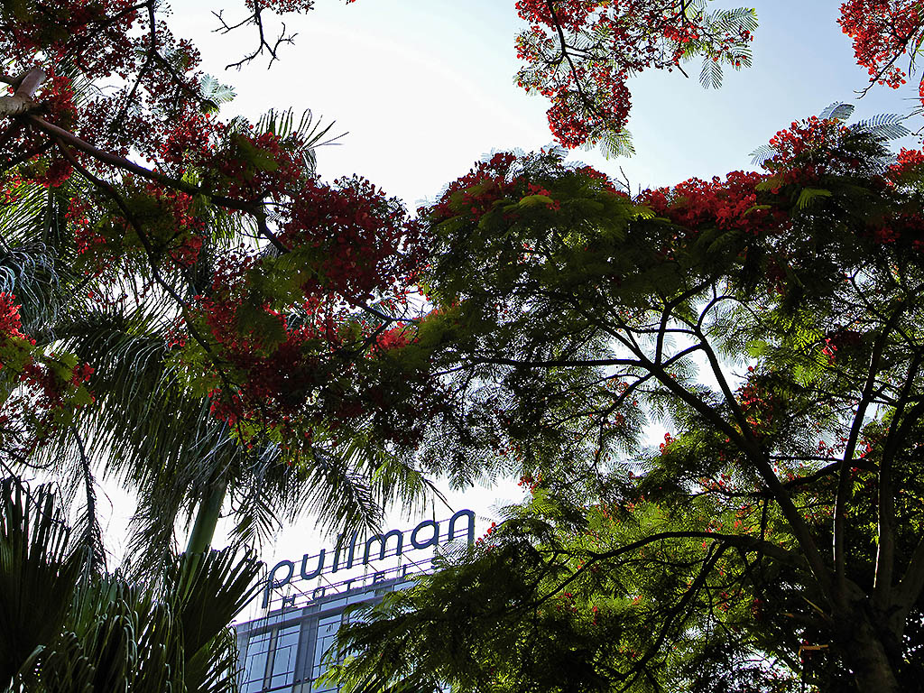 Foto - Pullman Xiamen Powerlong