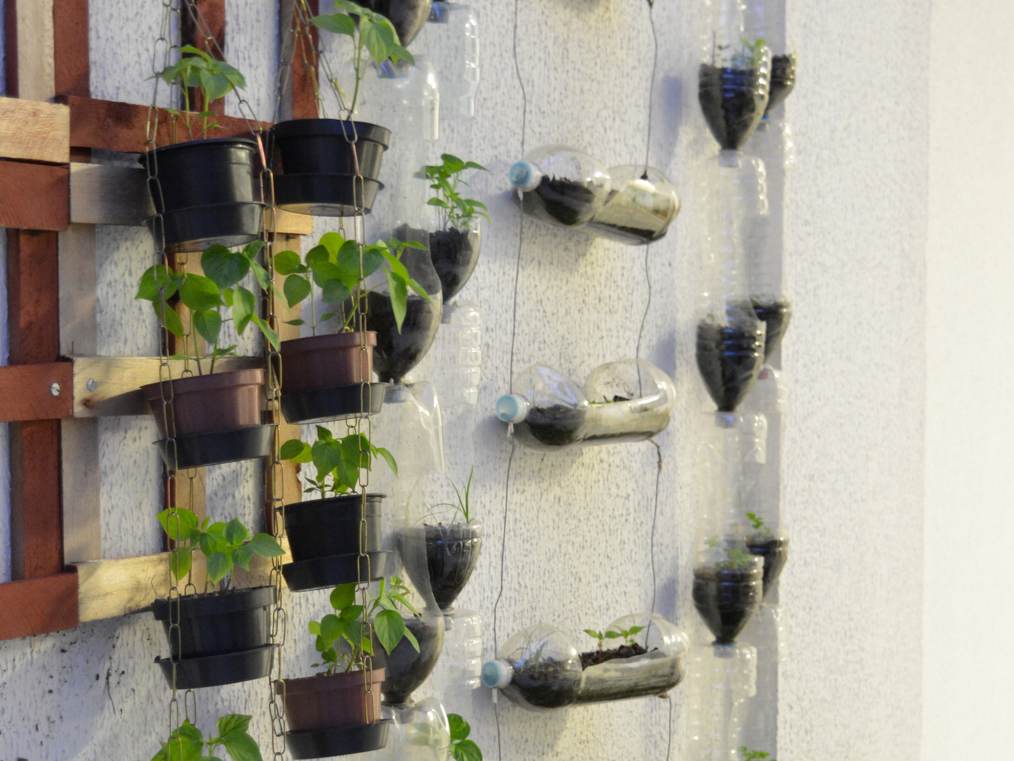 Foto - Regency Barra Hotel