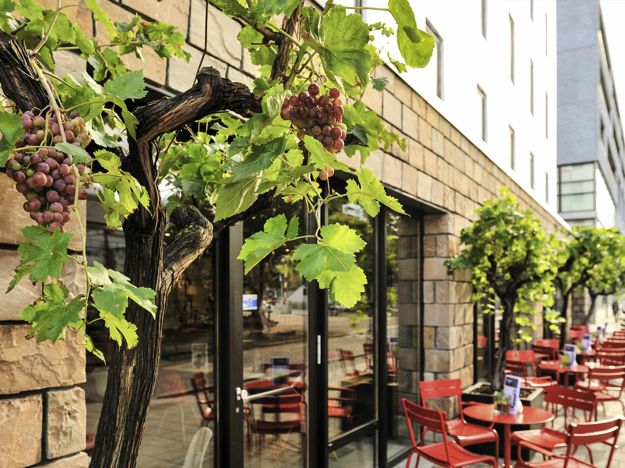 Photo - ibis Rotterdam City Centre