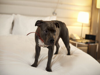 Foto - Pullman Paris Montparnasse