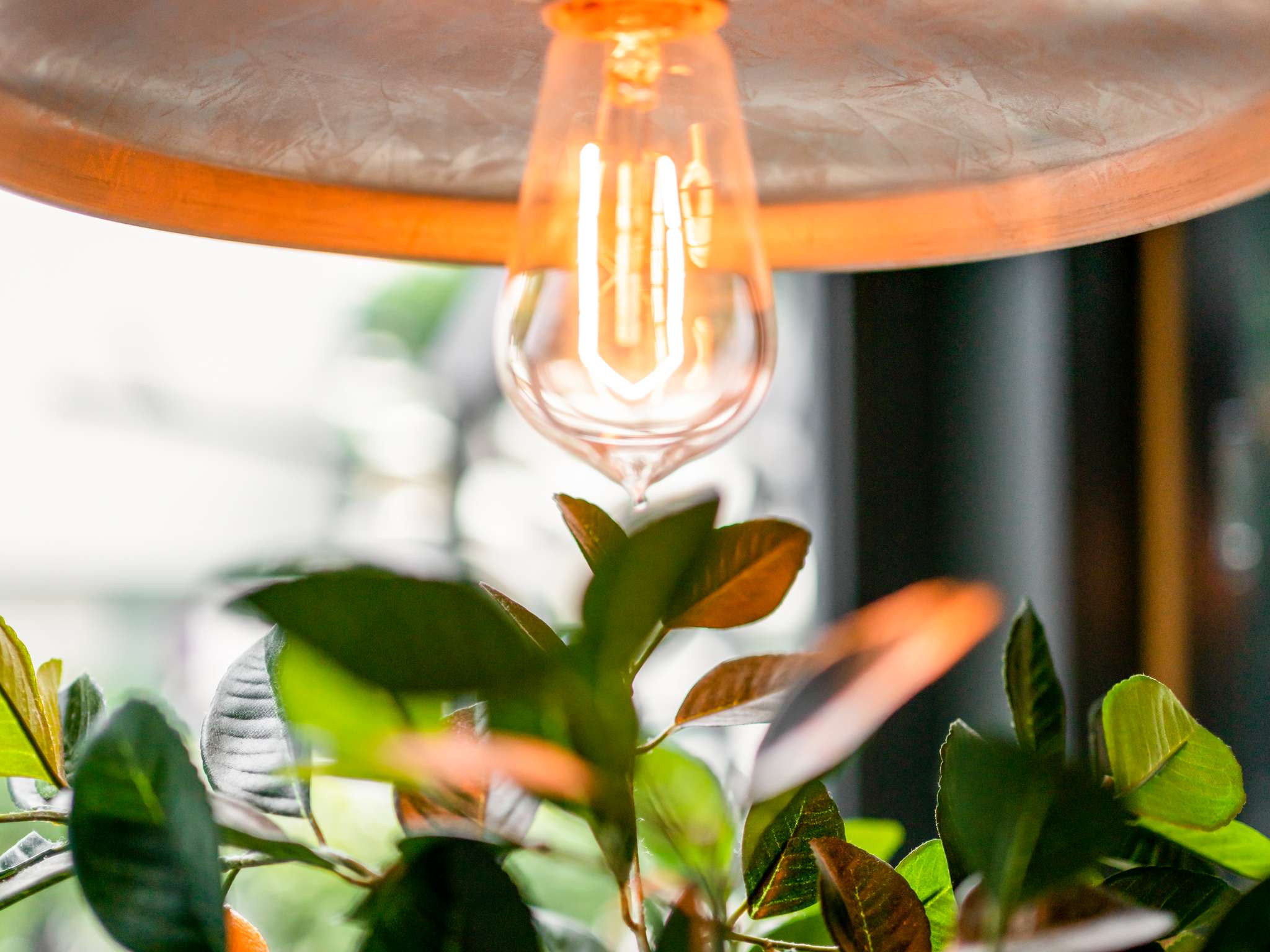 Foto - Pullman Paris Montparnasse