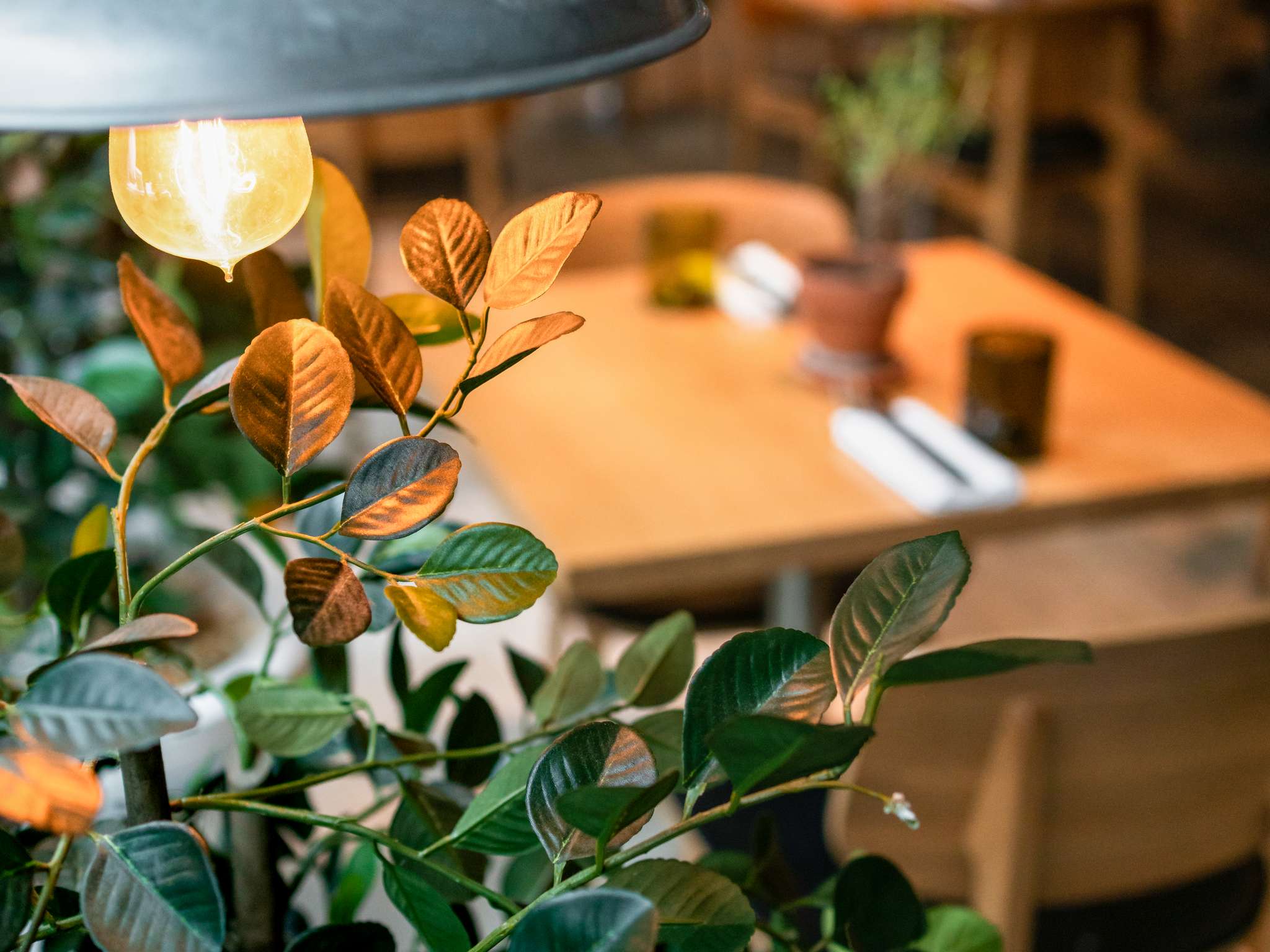 Foto - Pullman Paris Montparnasse