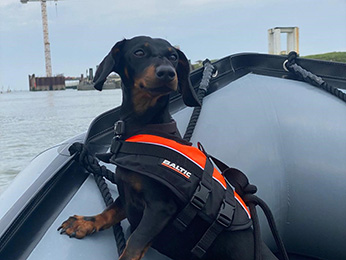 Photo - ibis Styles Saint Malo Centre Historique