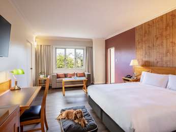 STANDARD ROOM - 1 King Bed - Pet Friendly with Courtyard