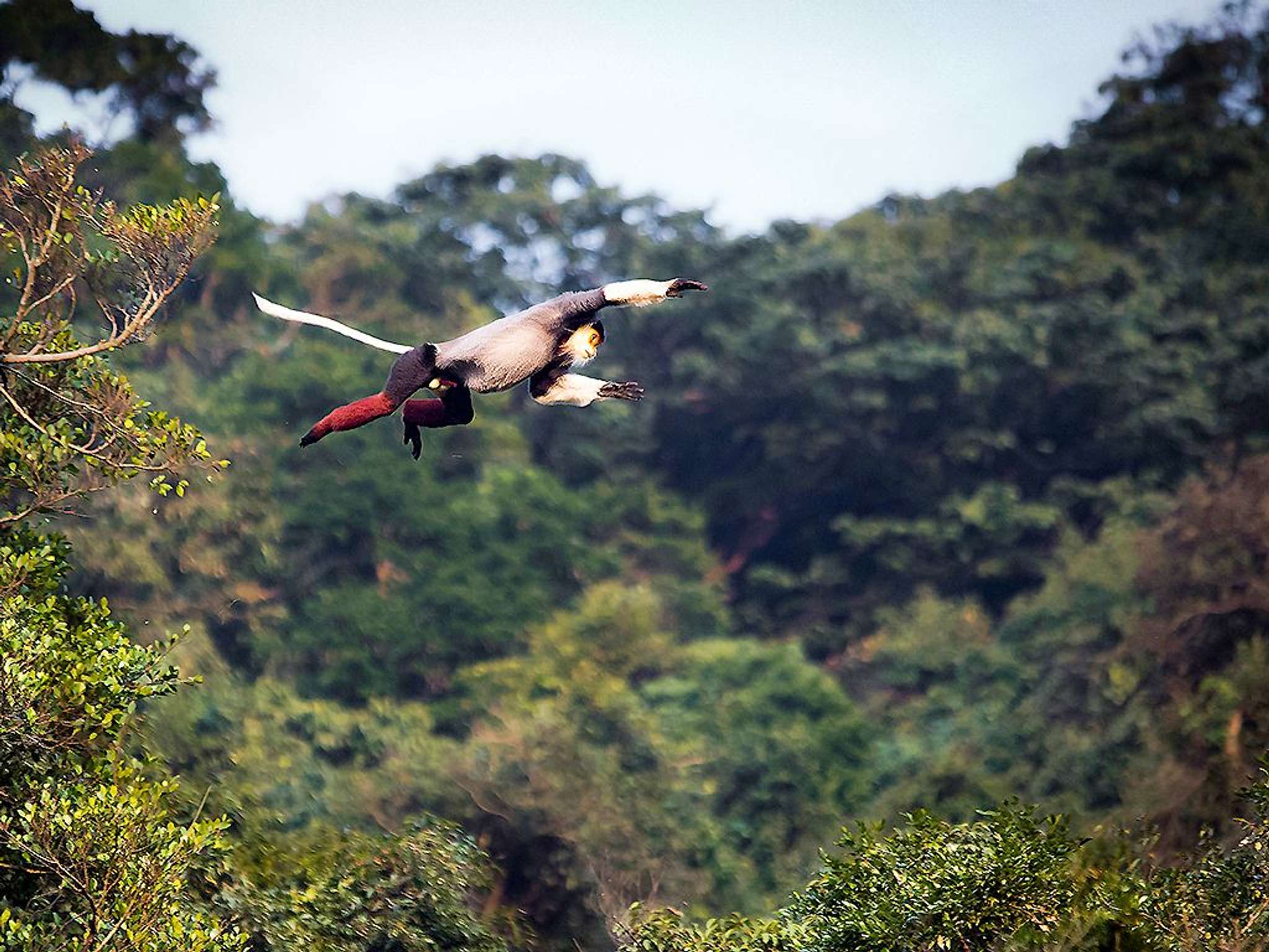 Photo - Novotel Danang Premier Han River