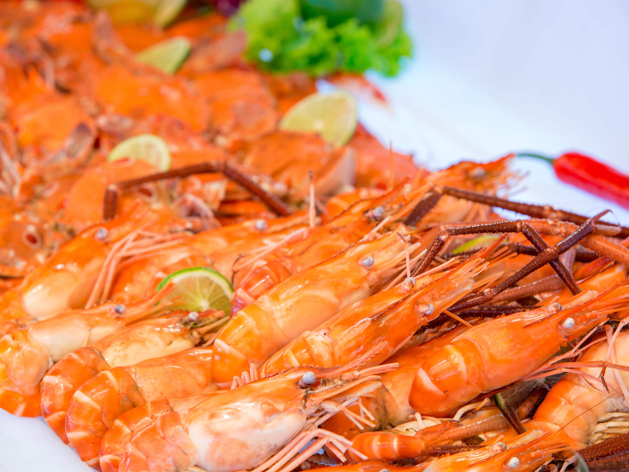 Foto - Novotel Danang Premier Han River